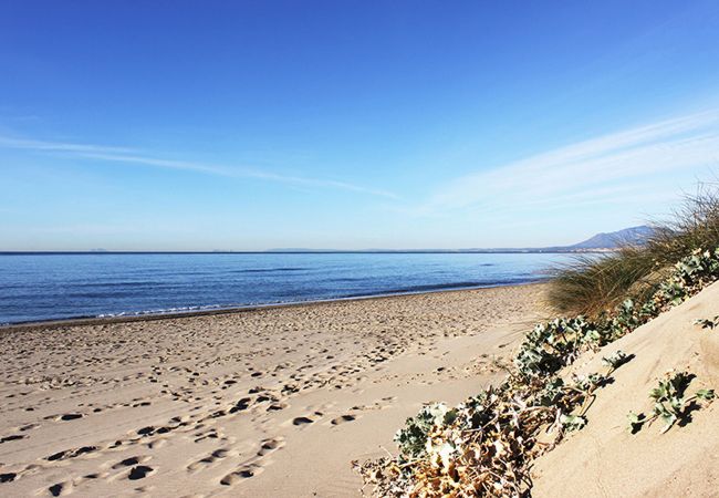 Villa i Marbella - 1100 - BEACH FRONT VILLA