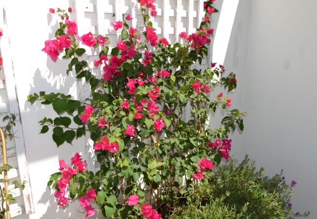 Lejlighed i Estepona - RSH14A - Terrace with hot tub and fantastic views