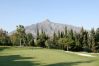 Appartement in Nueva Andalucia - DN11-2 bedroom apartment close to Puerto Banus