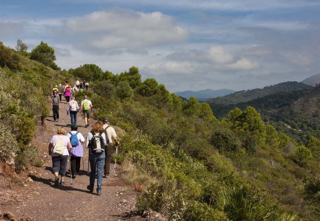 Apartamento en Casares - AL4-2125 ESTEPONA - APARTMENT - ALCAZABA LAGOON