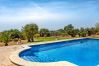 Country house in Santanyi - Finca Ses Mires