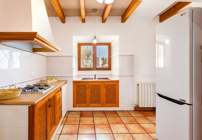 Country house in Santanyi - Finca Es Turo