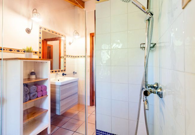 Country house in Santanyi - Finca Es Turo