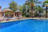 Country house in Santanyi - Finca Es Turo