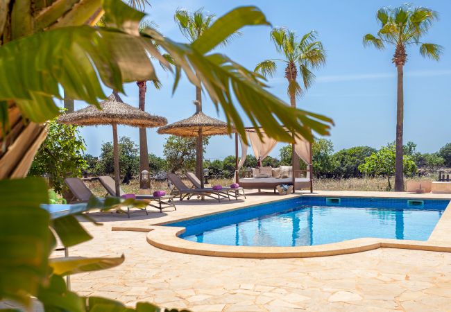 Country house in Calonge - Finca Es Contes