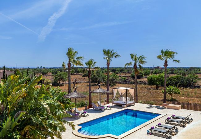 Country house in Calonge - Finca Es Contes