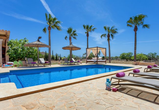 Country house in Calonge - Finca Es Contes