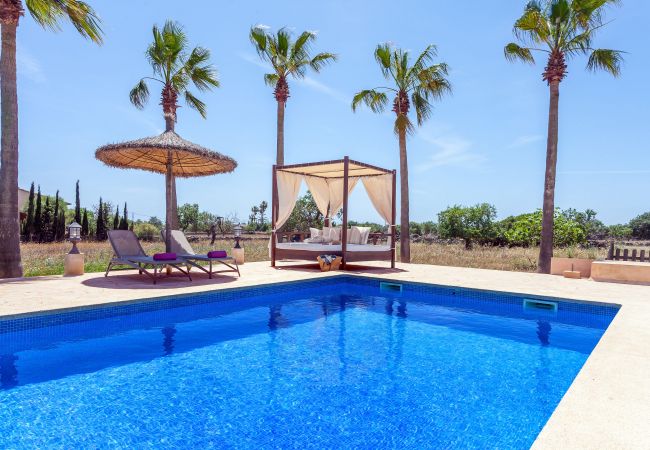 Country house in Calonge - Finca Es Contes
