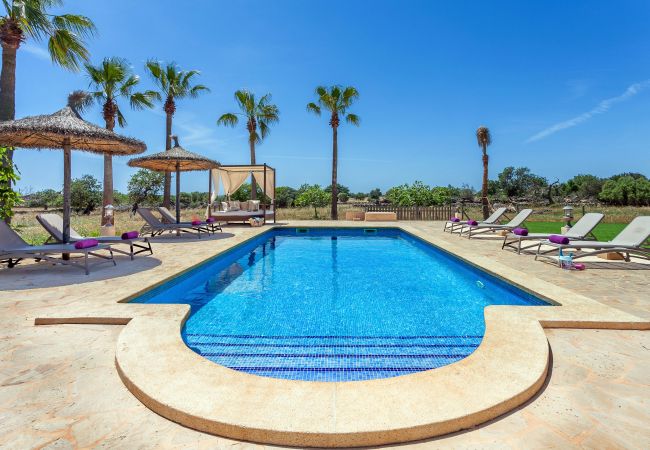 Country house in Calonge - Finca Es Contes