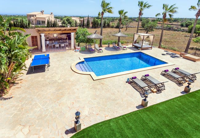 Country house in Calonge - Finca Es Contes