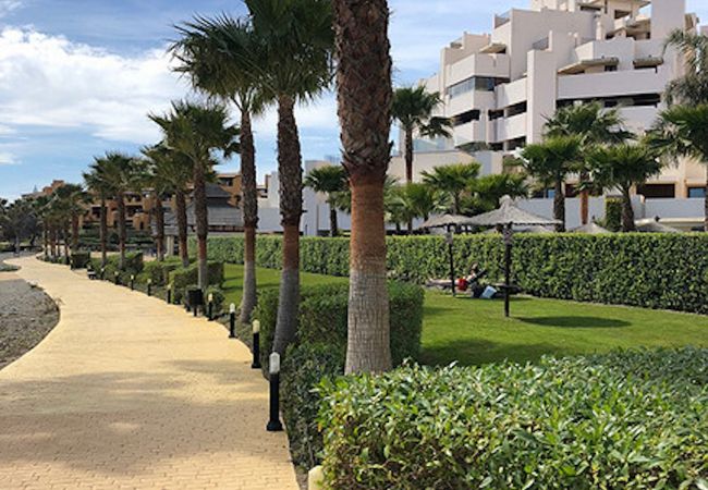 Apartment in Estepona - 117 - Penthouse with Pool