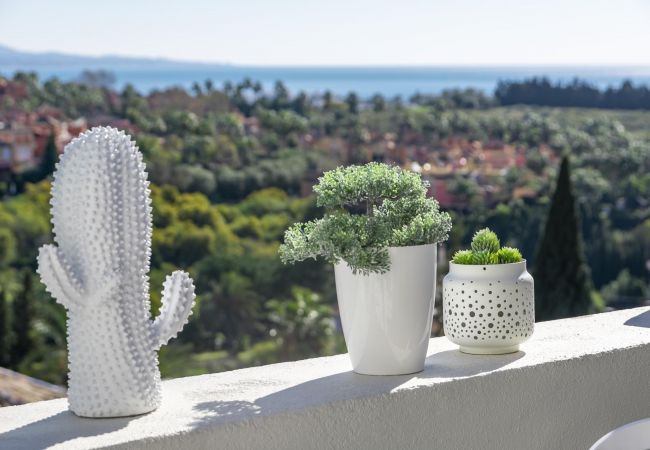 Apartment in Nueva andalucia - SAD - Spacious 2 bedroom duplex Puerto Banus