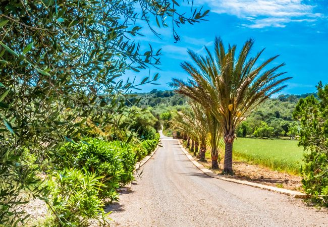 Country house in Cas Concos - Finca Son Peris