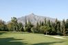 Apartment in Nueva andalucia - DN11-2 bedroom apartment close to Puerto Banus