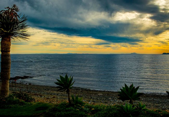 Apartment in Estepona - LM3.52B- Spacious duplex penthouse with panoramic