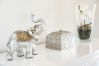 Apartment in Estepona - LMS48- Roof terrace, jacuzzi & sauna